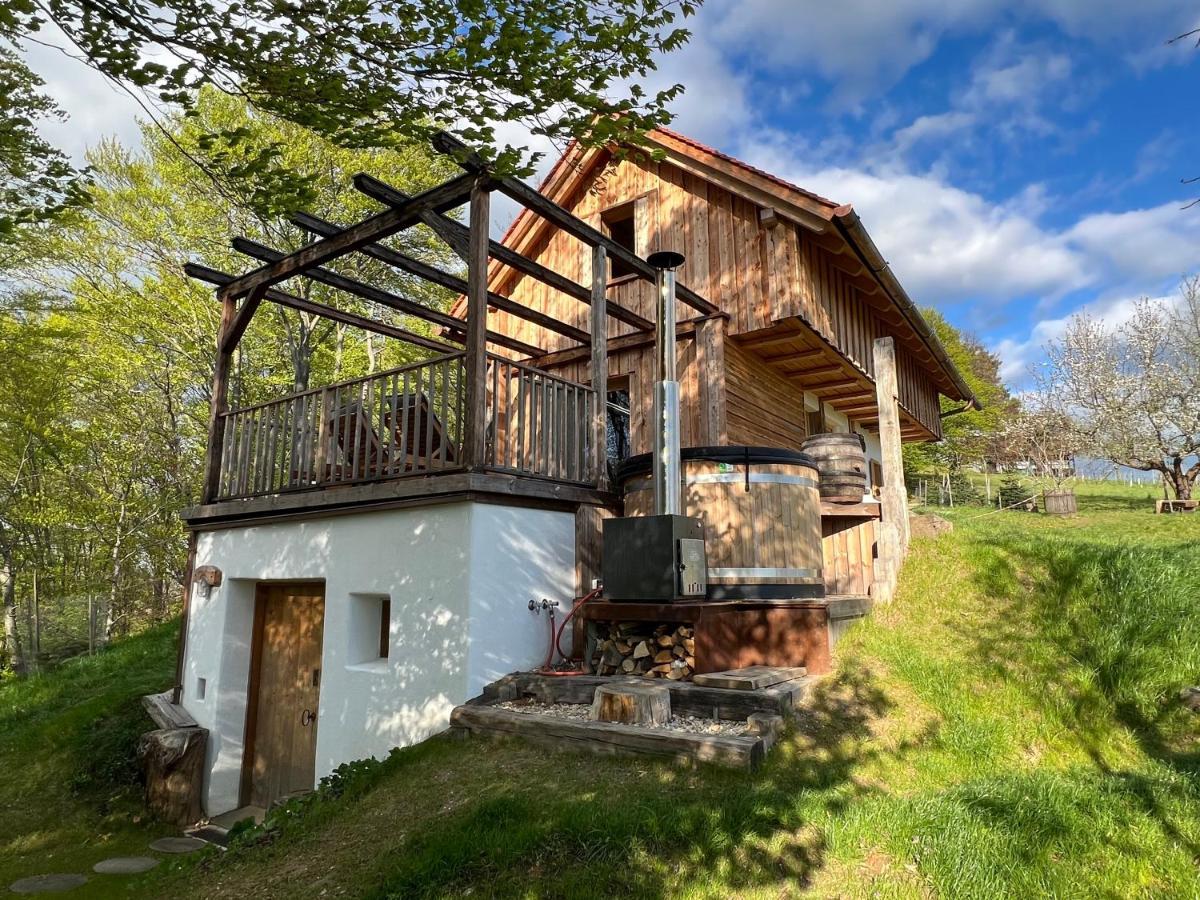 Kellerstoeckl Huetter Villa Gussing Exterior photo